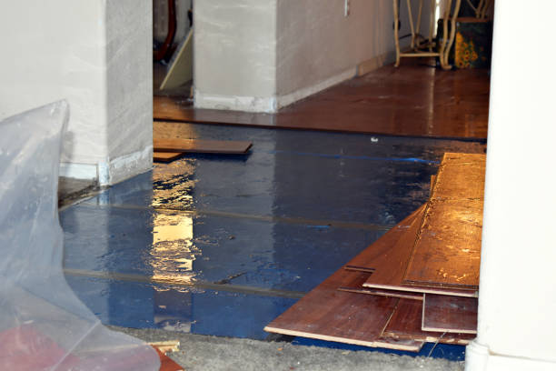 Professional Basement Water Removal technician working in Paxton, MA